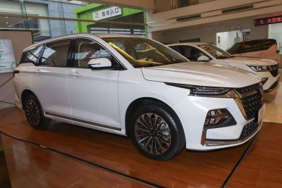 2023款 2.0L DHT臻享型-外观-图片-有驾