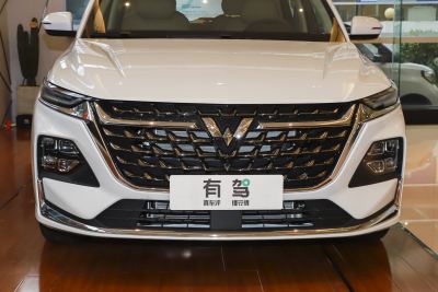 2023款 2.0L DHT臻享型-外观-图片-有驾