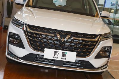 2023款 2.0L DHT臻享型-外观-图片-有驾