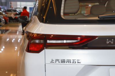 2023款 2.0L DHT臻享型-外观-图片-有驾