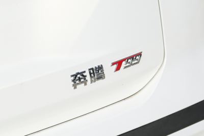 2023款 2.0T 自动尊贵型-外观-图片-有驾