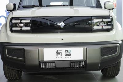 2026款 301km旗舰版-外观-图片-有驾
