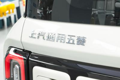 2026款 301km旗舰版-外观-图片-有驾