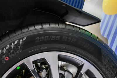 2026款 2.4T 柴油四驱极境版-外观-图片-有驾