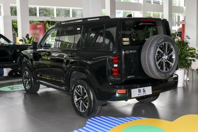 2026款 2.4T 柴油四驱极境版-外观-图片-有驾