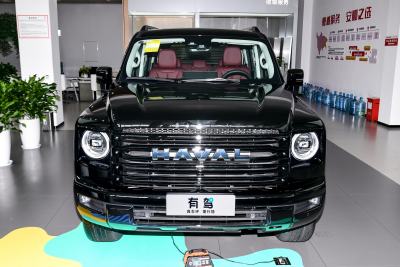 2026款 2.4T 柴油四驱极境版-外观-图片-有驾