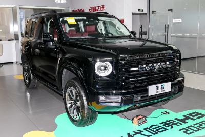2026款 2.4T 柴油四驱极境版-外观-图片-有驾