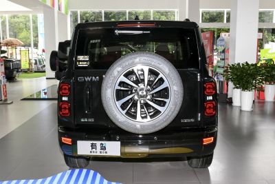 2026款 2.4T 柴油四驱极境版-外观-图片-有驾