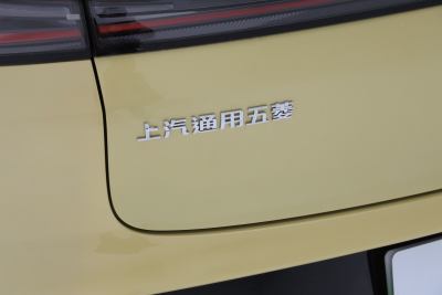 2025款 插混 140km豪华版-外观-图片-有驾