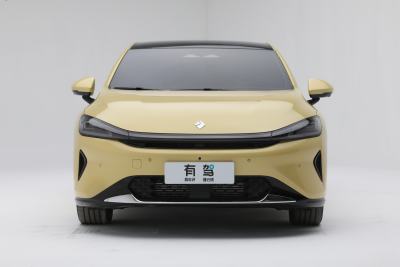 2025款 插混 140km豪华版-外观-图片-有驾