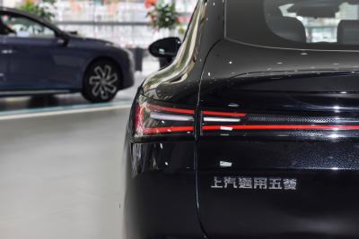 2025款 插混 140km豪华版-外观-图片-有驾