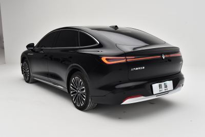 2025款 插混 140km豪华版-外观-图片-有驾