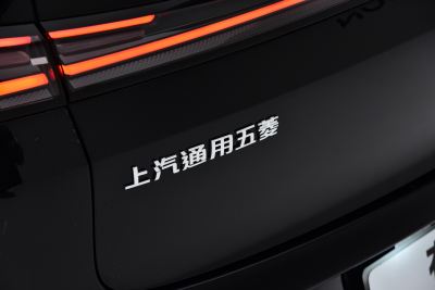 2025款 插混 140km豪华版-外观-图片-有驾