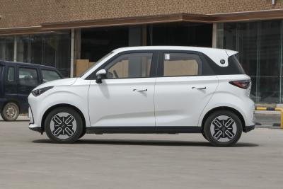2025款 305km 舒享型-外观-图片-有驾