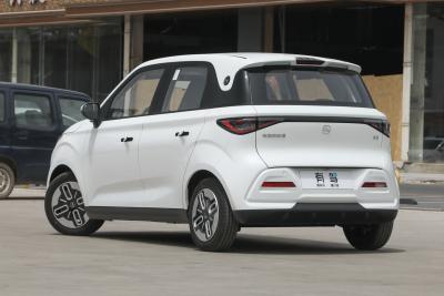 2025款 305km 舒享型-外观-图片-有驾