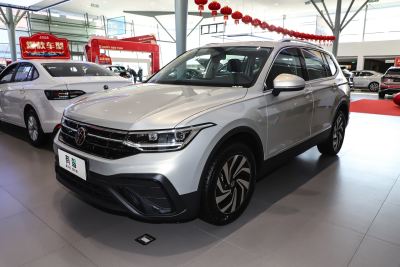 2024款 出众款 300TSI 自动两驱龙腾版-外观-图片-有驾