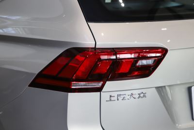 2024款 出众款 300TSI 自动两驱龙腾版-外观-图片-有驾