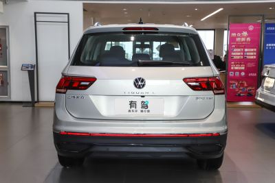 2024款 出众款 300TSI 自动两驱龙腾版-外观-图片-有驾