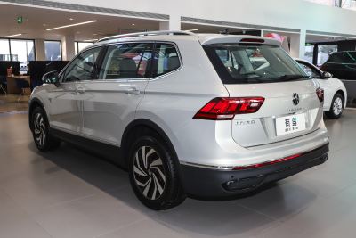 2024款 出众款 300TSI 自动两驱龙腾版-外观-图片-有驾
