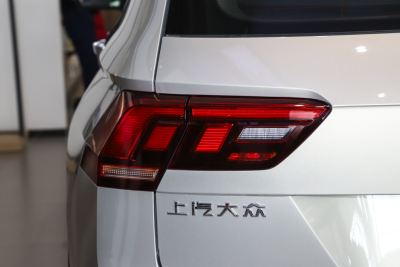 2024款 出众款 300TSI 自动两驱龙腾版-外观-图片-有驾