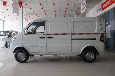 2021款 标准版31.25kWh-外观-图片-有驾