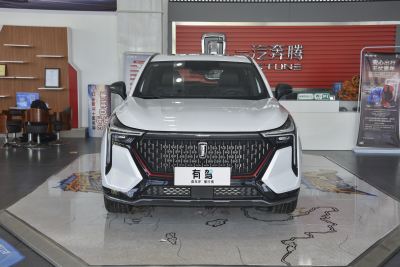 2021款 1.5T 自动劲享·尊享版-外观-图片-有驾