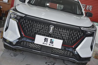 2021款 1.5T 自动劲享·尊享版-外观-图片-有驾