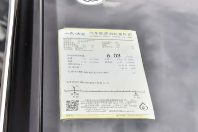 2025款 改款 300TSI DSG两驱星光版-外观-图片-有驾