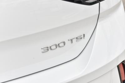 2025款 改款 300TSI DSG两驱星光版-外观-图片-有驾