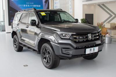 2025款 2.4T 柴油版-外观-图片-有驾