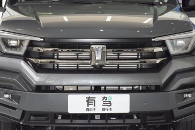 2025款 2.4T 柴油版-外观-图片-有驾