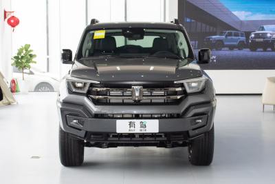 2025款 2.4T 柴油版-外观-图片-有驾