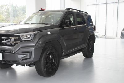 2025款 2.4T 柴油版-外观-图片-有驾