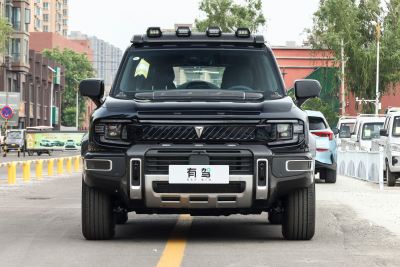 2025款 无忧穿越版 四驱远山版-外观-图片-有驾