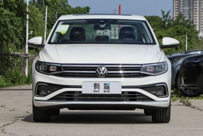 2025款 改款 300TSI DSG尊行版-外观-图片-有驾