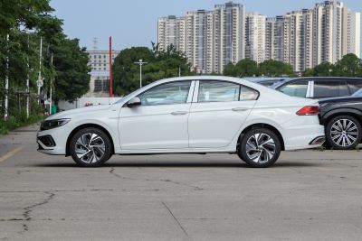 2025款 改款 300TSI DSG尊行版-外观-图片-有驾