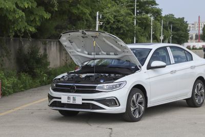 2025款 改款 300TSI DSG尊行版-外观-图片-有驾