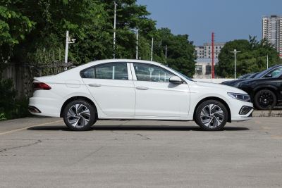 2025款 改款 300TSI DSG尊行版-外观-图片-有驾