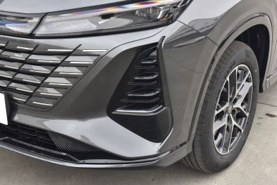 2026款 智慧冠军版 1.5T 新蓝鲸 智领型-外观-图片-有驾