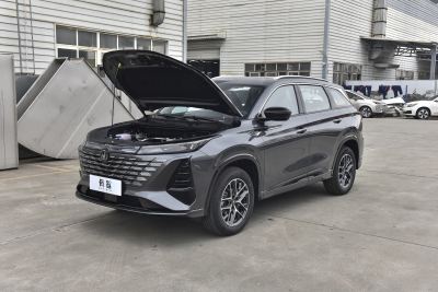 2026款 智慧冠军版 1.5T 新蓝鲸 智领型-外观-图片-有驾