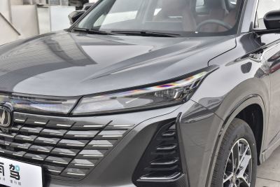 2026款 智慧冠军版 1.5T 新蓝鲸 智领型-外观-图片-有驾