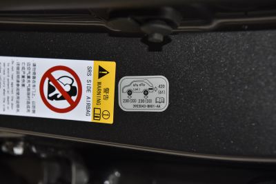 2026款 智慧冠军版 1.5T 新蓝鲸 智领型-外观-图片-有驾