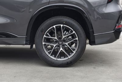 2026款 智慧冠军版 1.5T 新蓝鲸 智领型-外观-图片-有驾