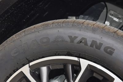 2026款 智慧冠军版 1.5T 新蓝鲸 智领型-外观-图片-有驾