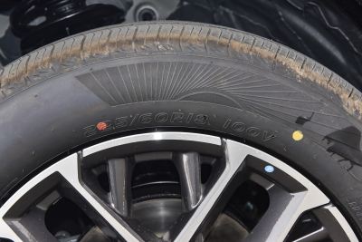 2026款 智慧冠军版 1.5T 新蓝鲸 智领型-外观-图片-有驾