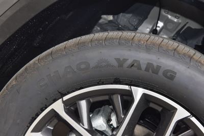 2026款 智慧冠军版 1.5T 新蓝鲸 智领型-外观-图片-有驾