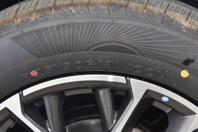 2026款 智慧冠军版 1.5T 新蓝鲸 智领型-外观-图片-有驾