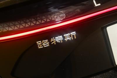 2025款 600 豪华版-外观-图片-有驾