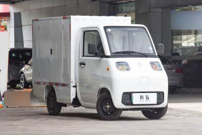 2023款 厢车豪华版 国轩8.4kWh-外观-图片-有驾