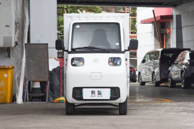 2023款 厢车豪华版 国轩8.4kWh-外观-图片-有驾
